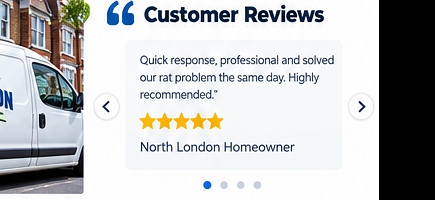 Bromley Pest Control van